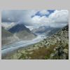 21_Glacier Altesch.jpg